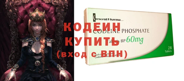 дурь Инта