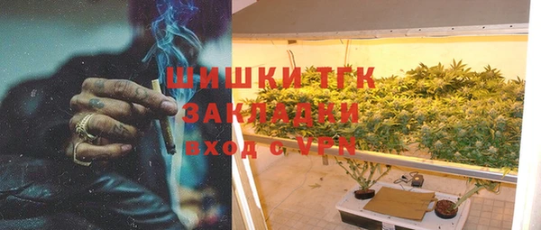 дурь Инта