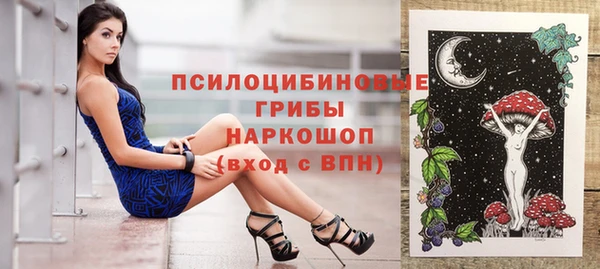 дурь Инта
